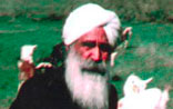 sant kirpal singh